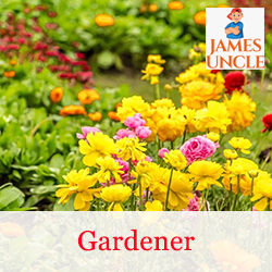 Gardener Mr. Suvojit Ghosh in Panchberia